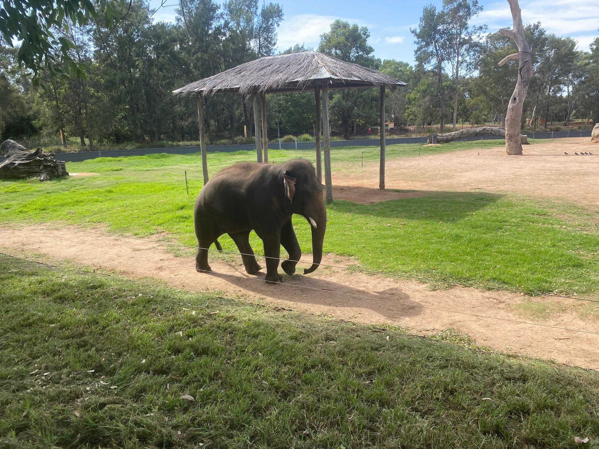 Dubbo Zoo 2025 Image -67de047de2ad7